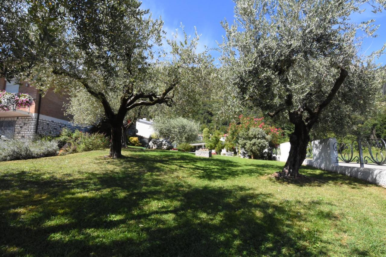 Residence Gonda&Giuliano Borso del Grappa Exterior photo
